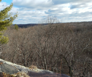 Devil’s Den Nature Preserve