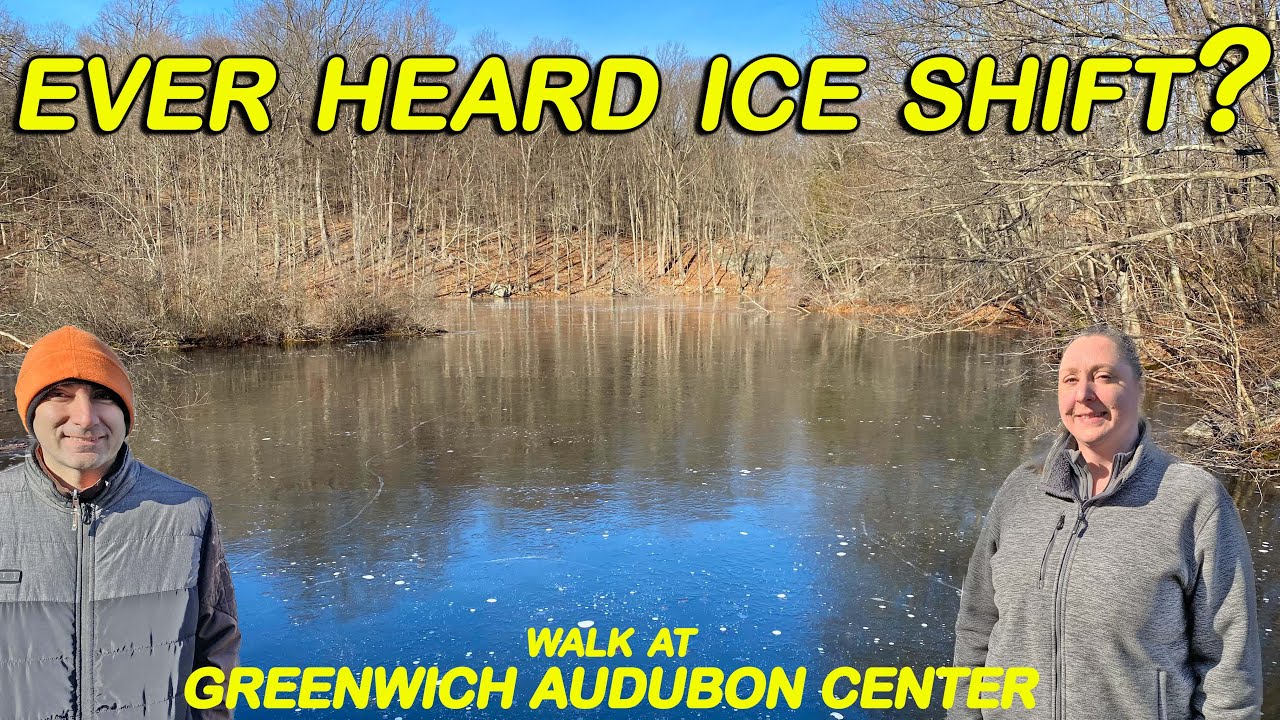 Discover the Wonders of Nature at the Greenwich Audubon Center