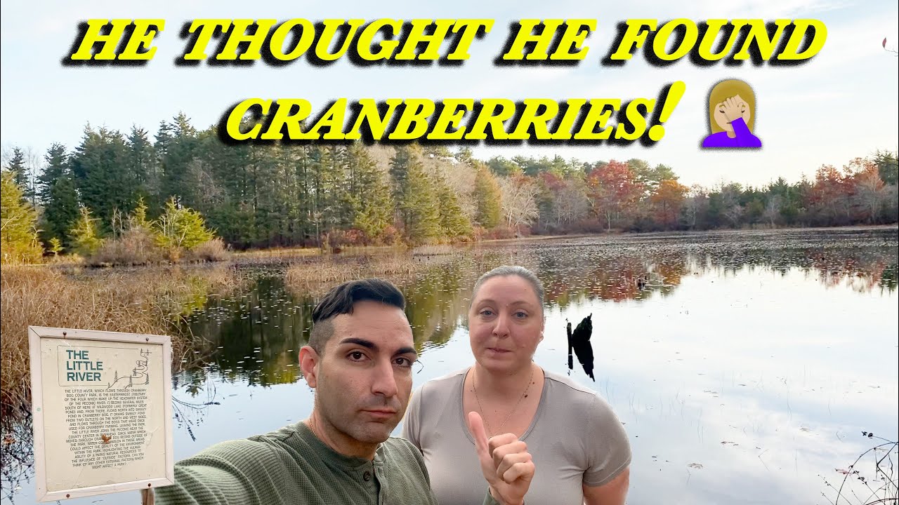 A Walk Around Cranberry Bog Preserve on Long Island